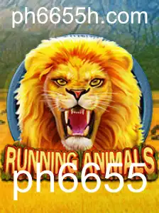RunningAnimals: Descubra o Mundo Fascinante dos Animais em Movimento